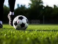 宁波町渥主,场力克九台,农商银行,太阳城,太阳城娱乐,太阳城app,太阳城赌场